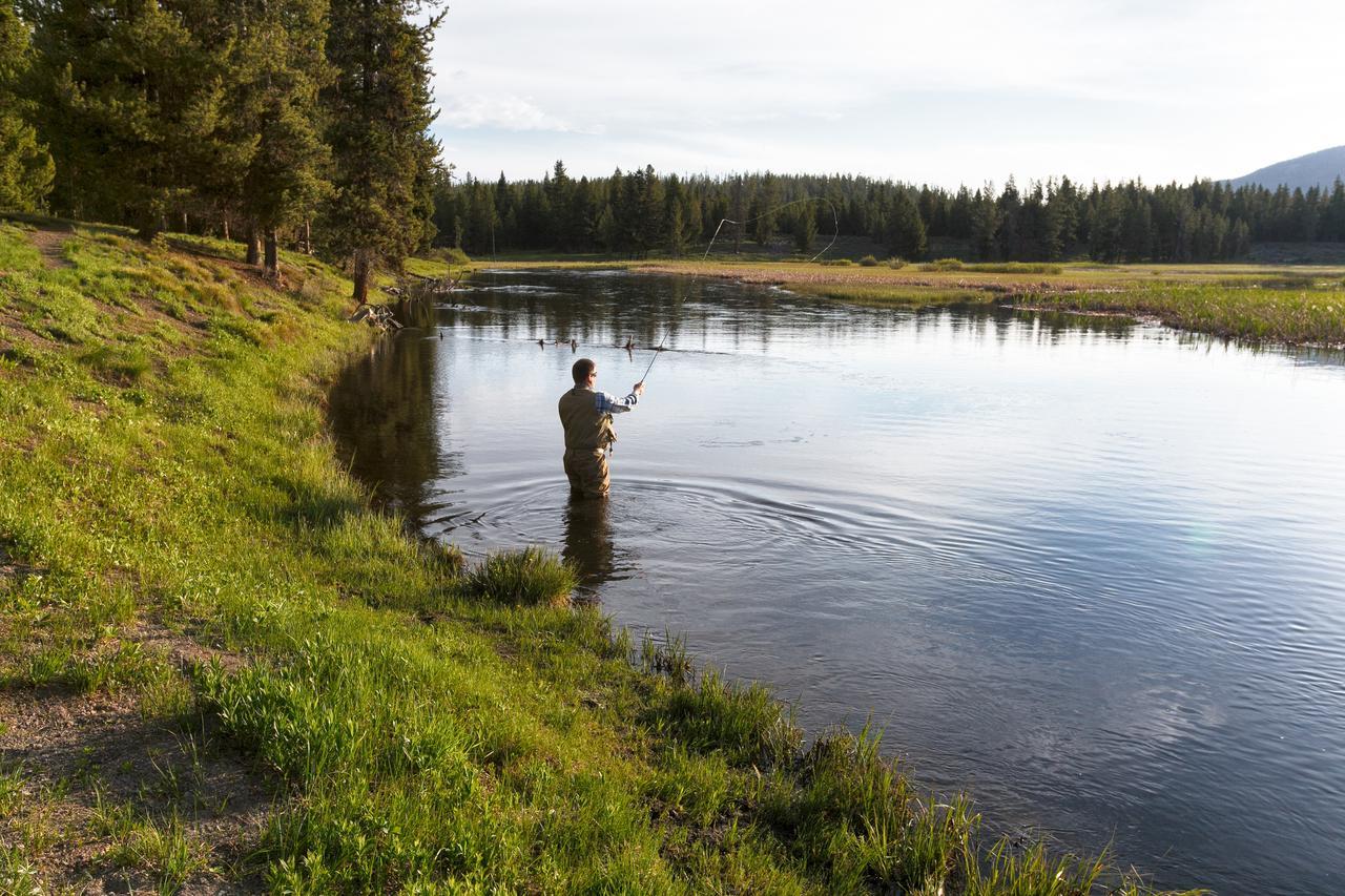 Headwaters Lodge & Cabins At Flagg Ranch Moran Eksteriør bilde