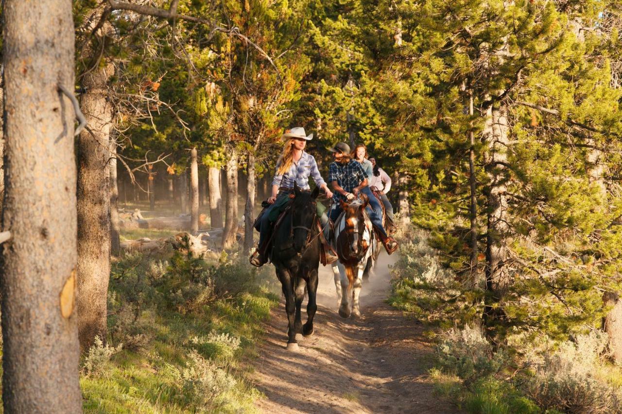 Headwaters Lodge & Cabins At Flagg Ranch Moran Eksteriør bilde